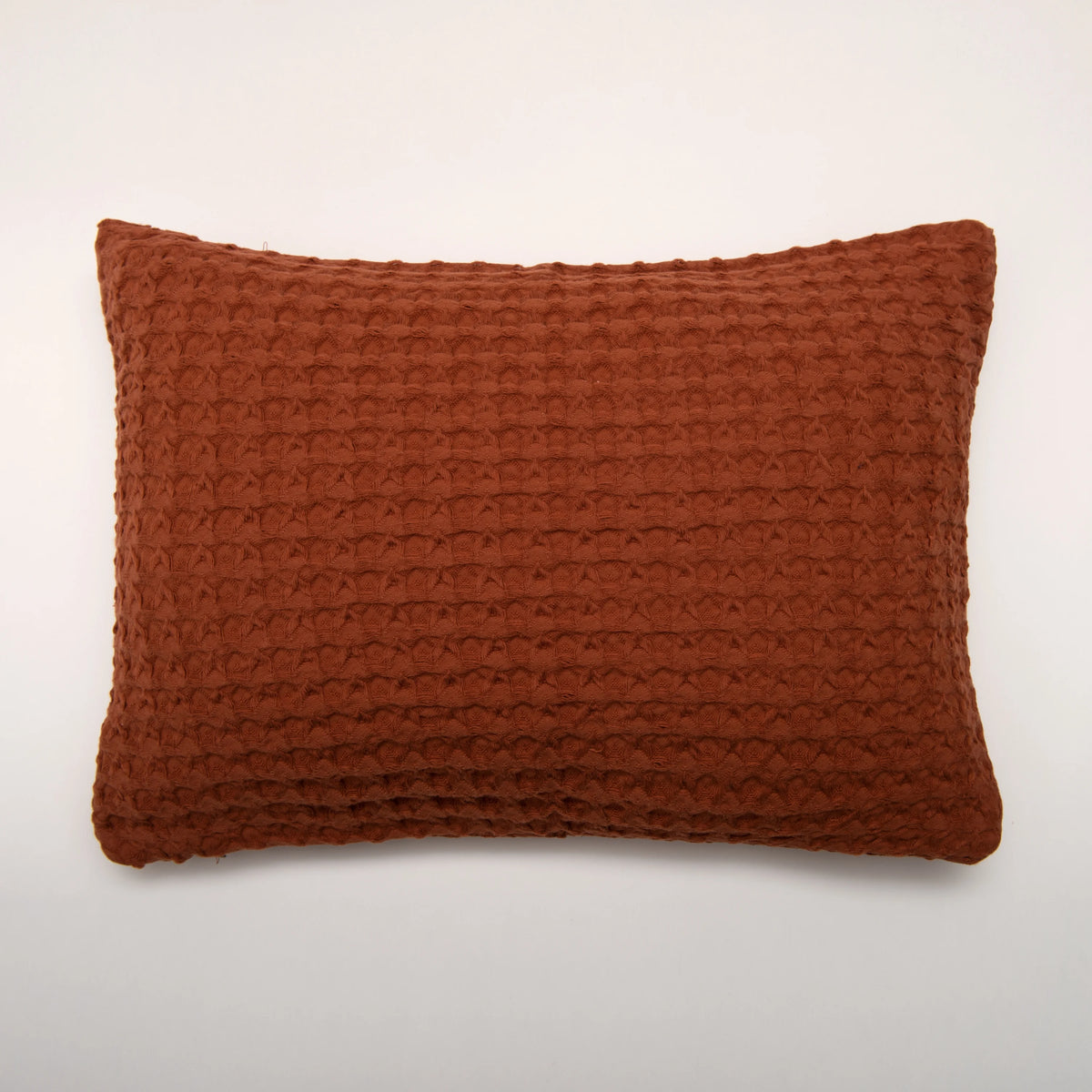 Pack de Exterior de Verano Nicole