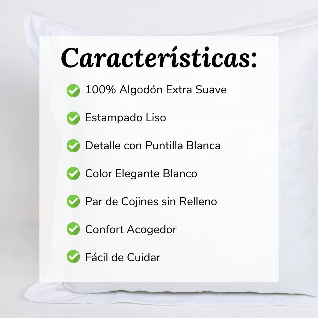 Par Cojines Decorativos con Puntilla Blanco