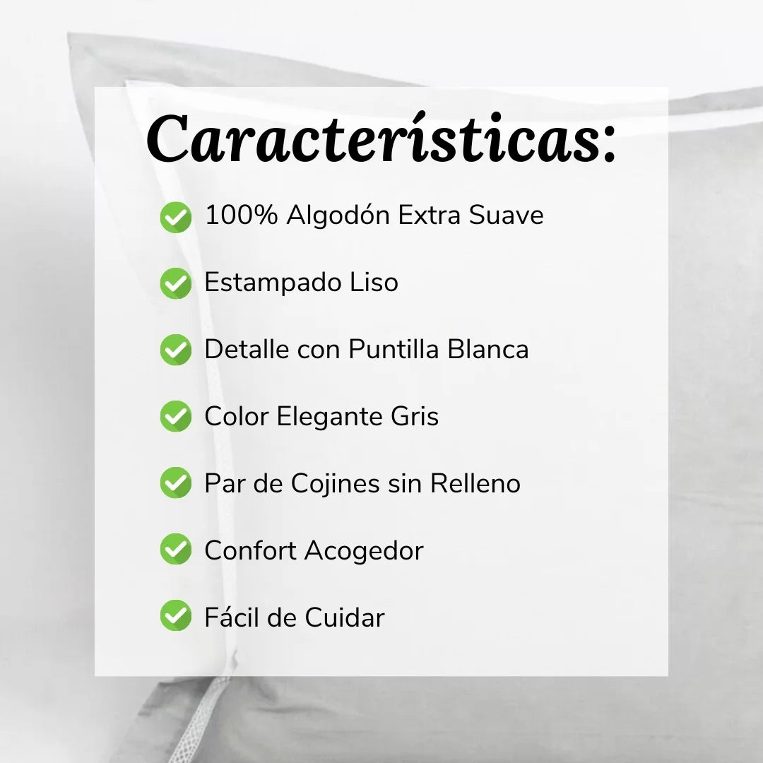 Par Cojines Decorativos con Puntilla Gris
