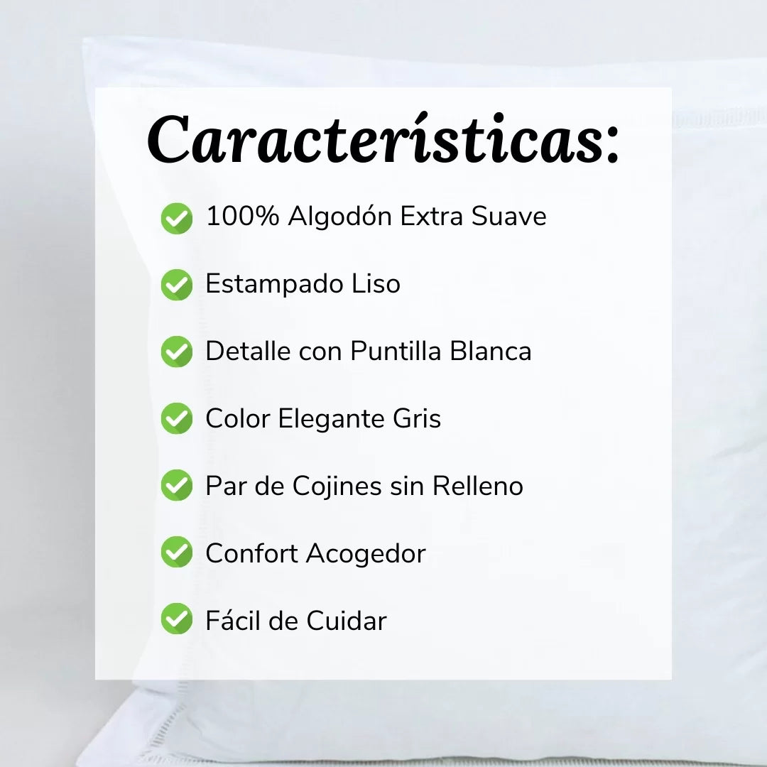 Par Cojines Decorativos con Puntilla Blanco