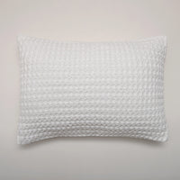 Pack de Exterior de Verano Nicole